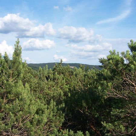 Schönau Ferienwohnung Am Pfaffenfels מראה חיצוני תמונה