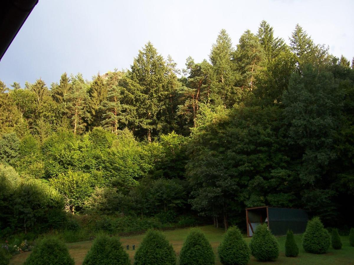 Schönau Ferienwohnung Am Pfaffenfels מראה חיצוני תמונה