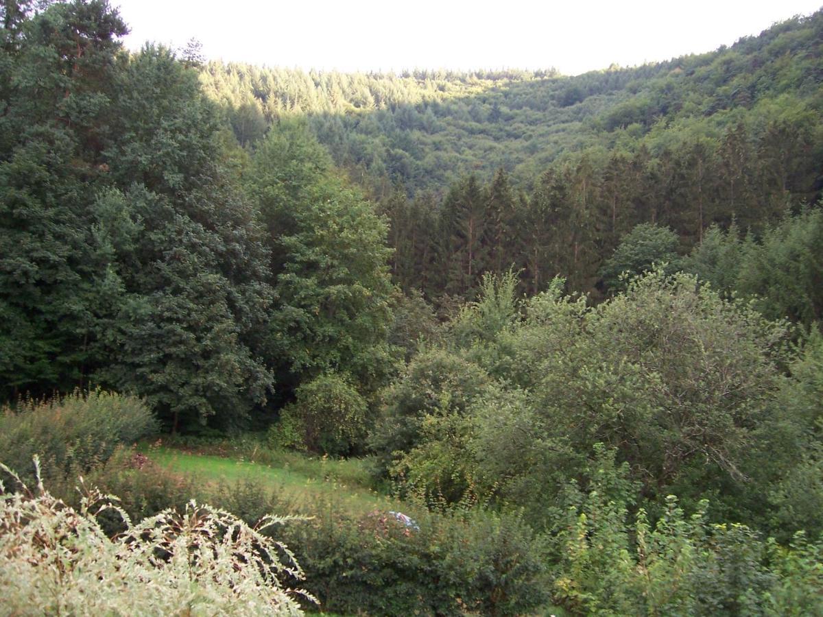 Schönau Ferienwohnung Am Pfaffenfels מראה חיצוני תמונה