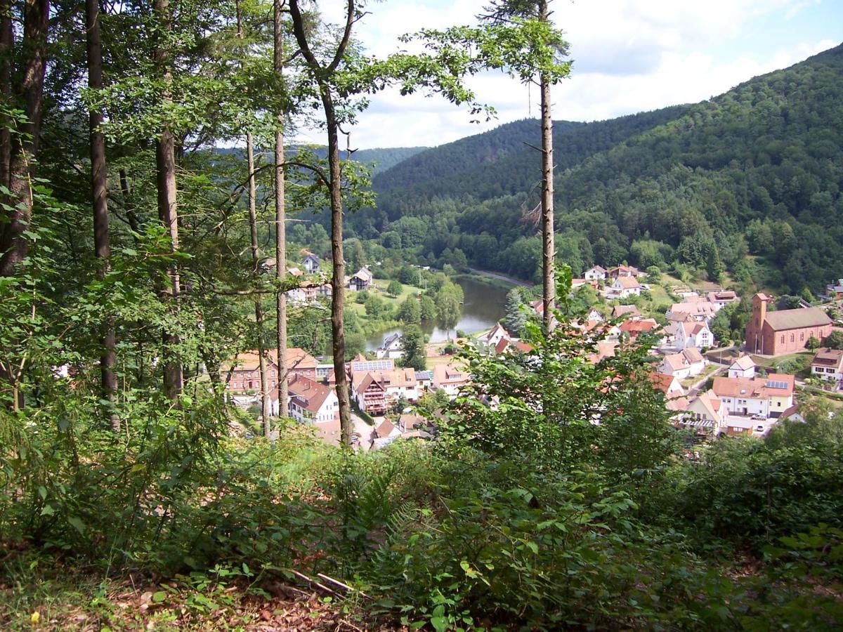 Schönau Ferienwohnung Am Pfaffenfels מראה חיצוני תמונה